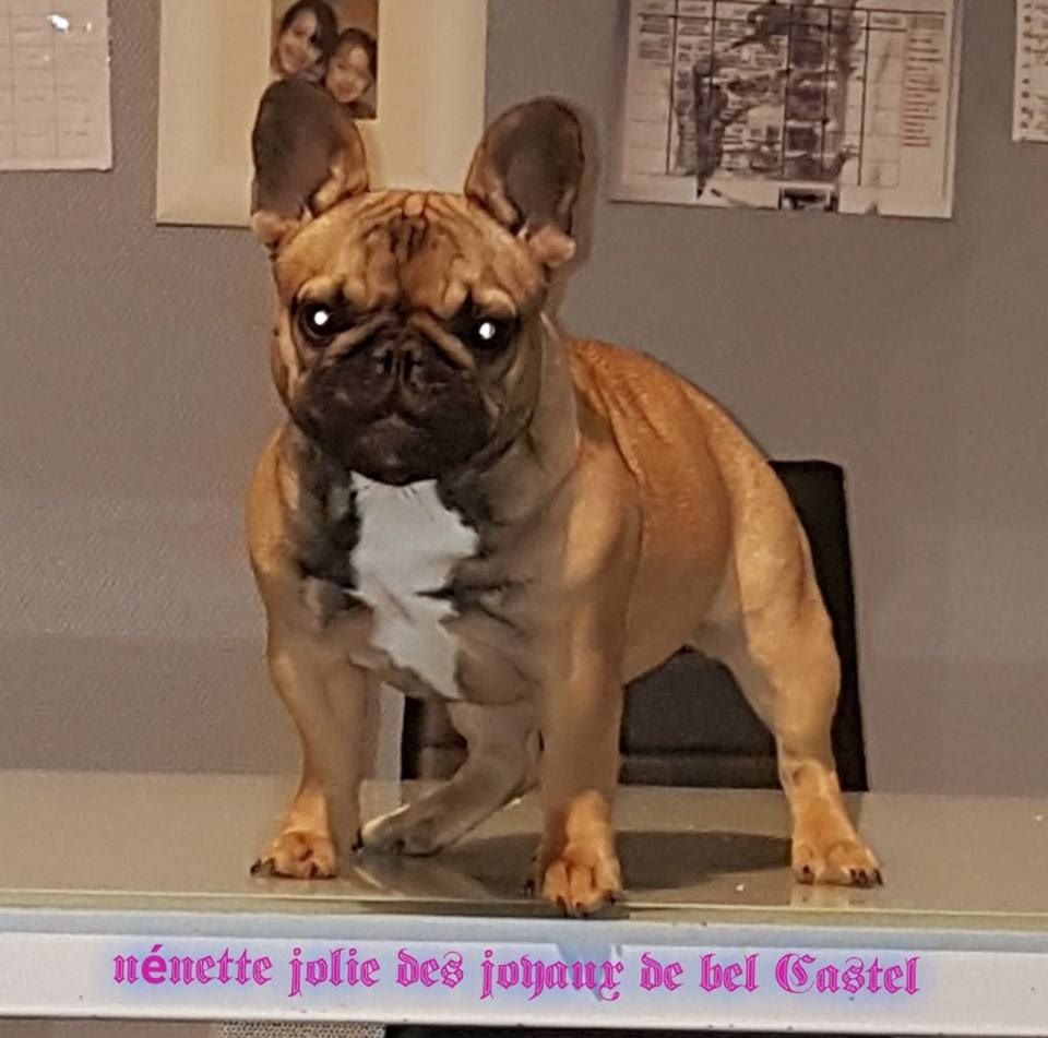 Nenette jolie Des Joyaux De Bel Castel