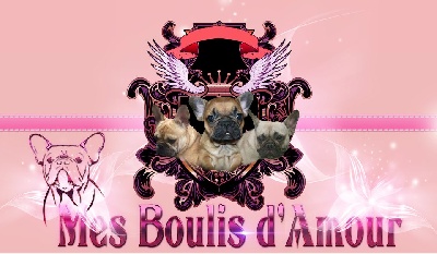 Mes Boulis D'amour